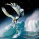 verve1045claeVqv7